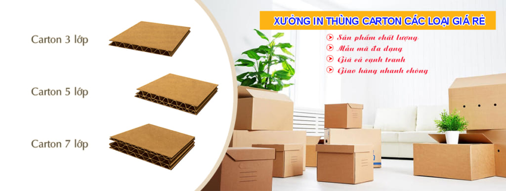 Thùng Carton Thành Phát